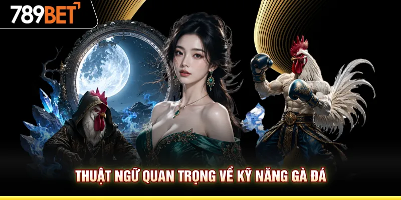 Thuật ngữ quan trọng về kỹ năng gà đá
